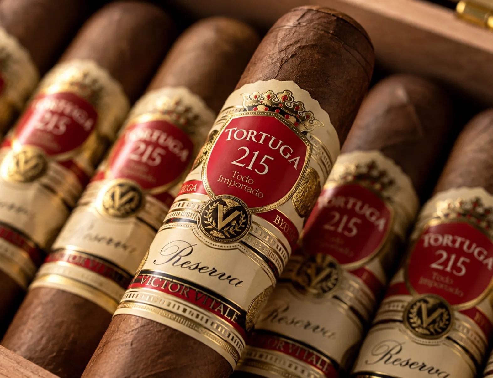 Tortuga 215